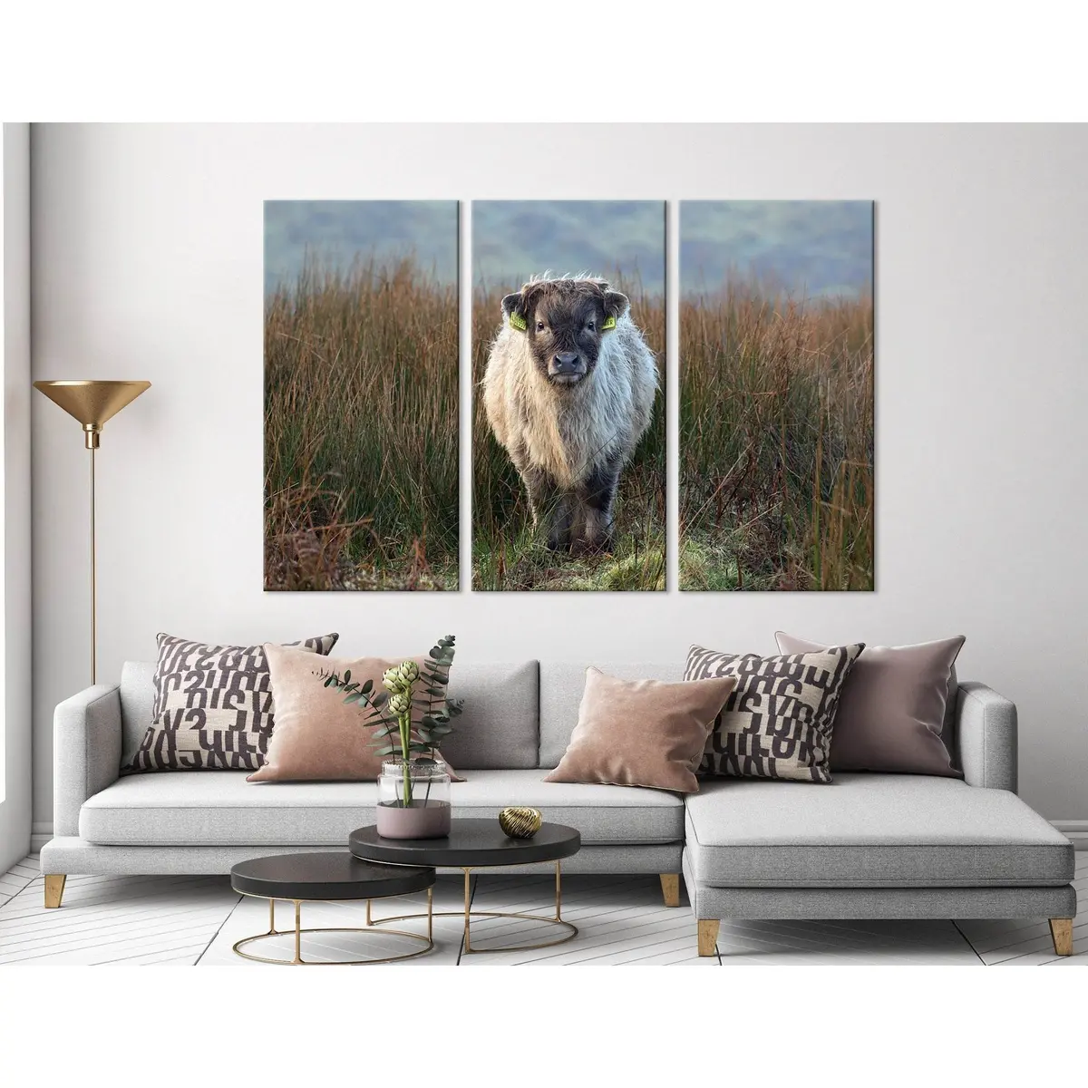 Highland Calf On The Field In Exmoor №04247 Ready To Hang Canvas Print 5