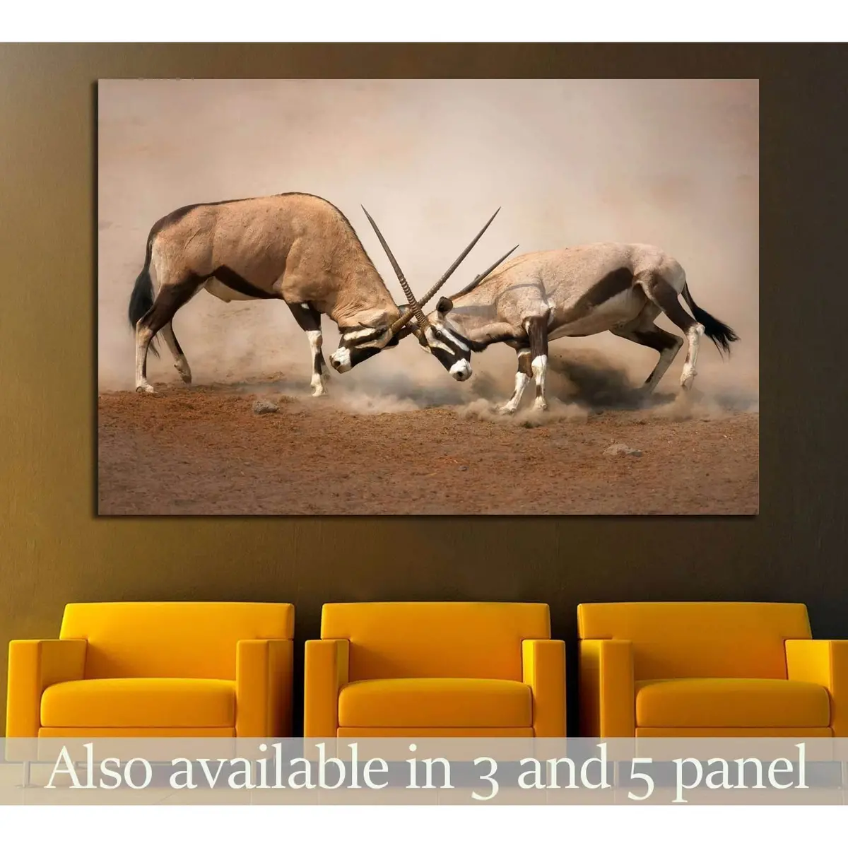 Intense Fight Between Two Male Gemsbok On Dusty Plains Of Etosha №1838 Ready To Hang Canvas Print 1