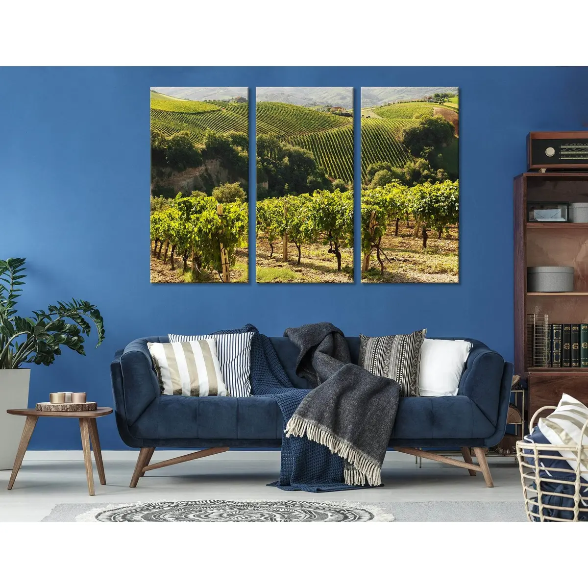 Italian Vineyard №04211 Ready To Hang Canvas Print 5