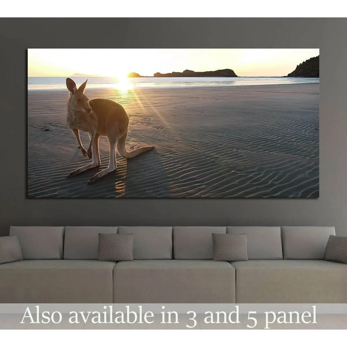 Kangaroo On A Beach At Cape Hillsborough In Queensland, Australia №2375 Ready To Hang Canvas Print 1