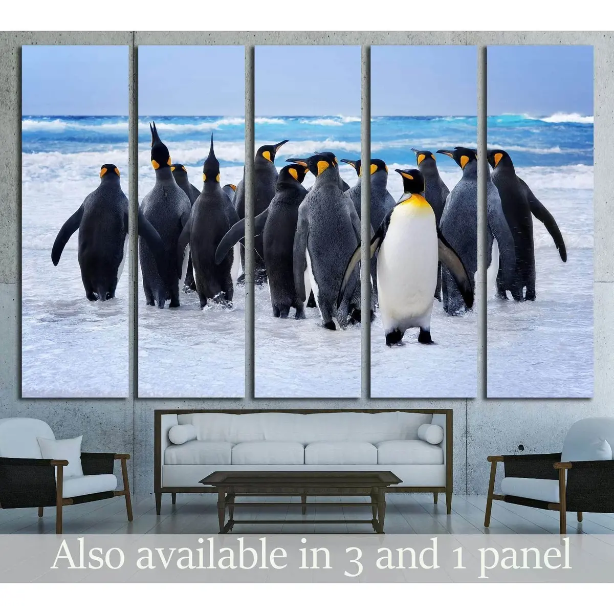 Ready-to-Hang Canvas Print: King Penguins Entering the Water, Falkland Islands