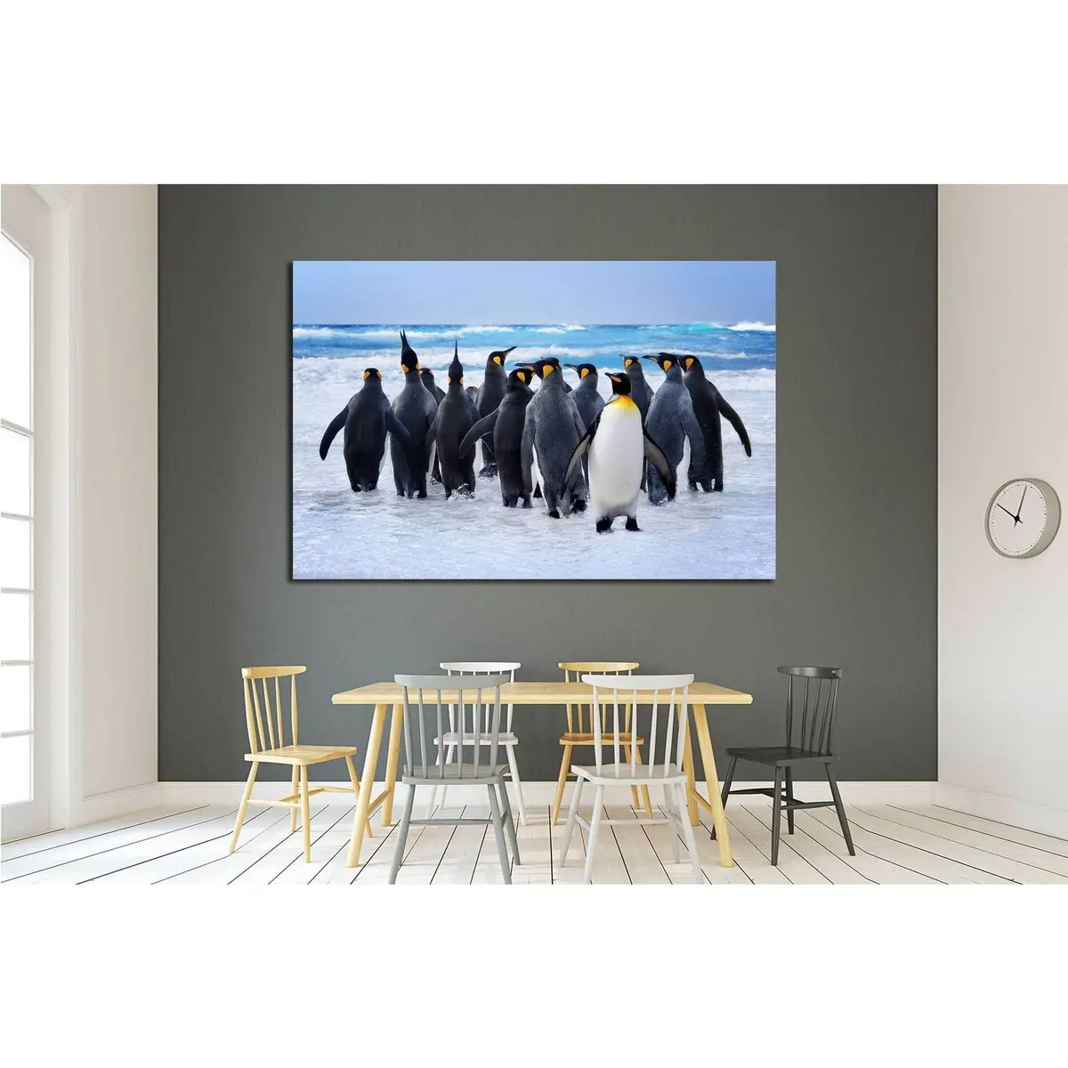 King Penguins Heading To The Water In The Falkland Islands №1845 Ready To Hang Canvas Print 3
