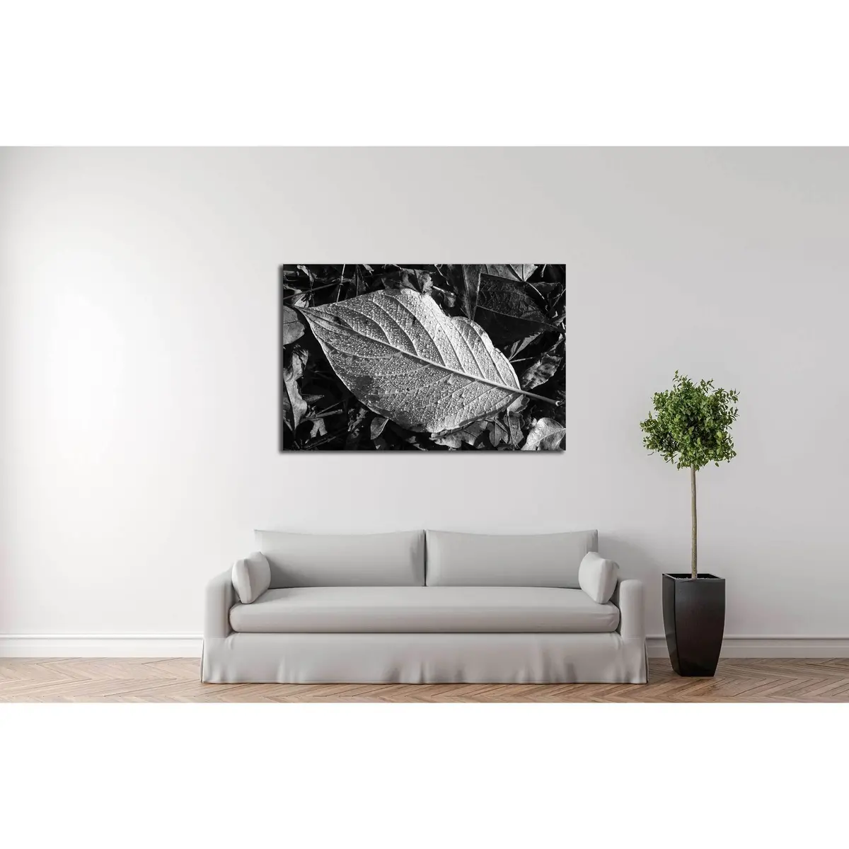 Leaf Texture, Detail, Black And White №2838 Ready To Hang Canvas Print 3