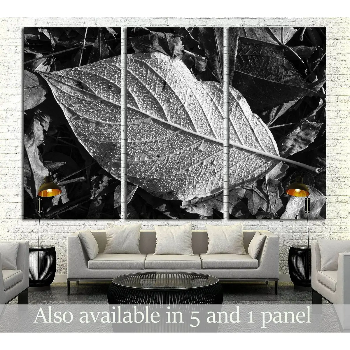 Leaf Texture, Detail, Black And White №2838 Ready To Hang Canvas Print 5