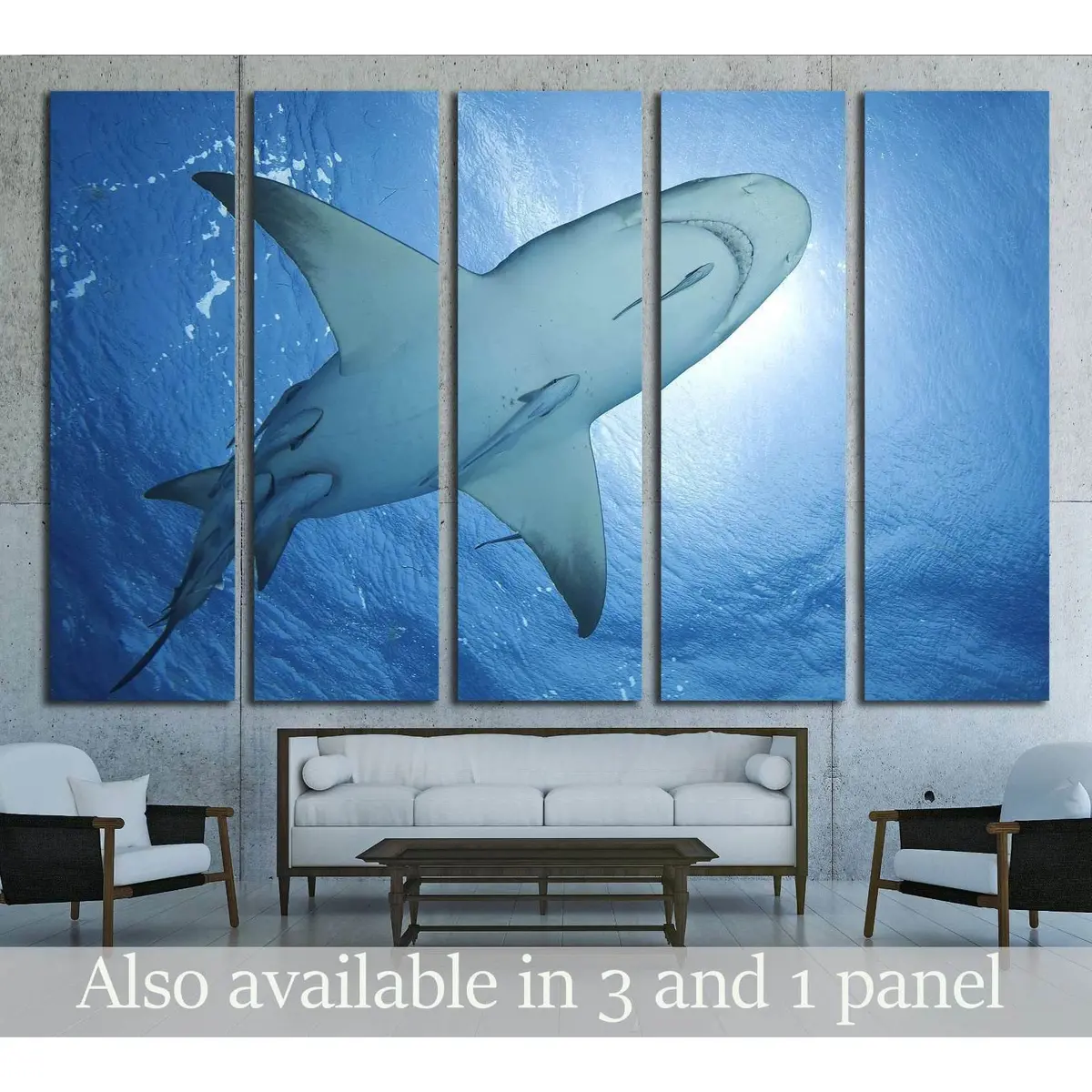 Lemon Shark with Remora Surfacing in Bahamian Waters – Ready-to-Hang Canvas Art Print #2358