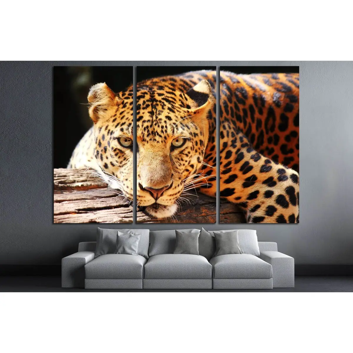 Leopard Panther Resting Relax On Tree №2349 Ready To Hang Canvas Print 5