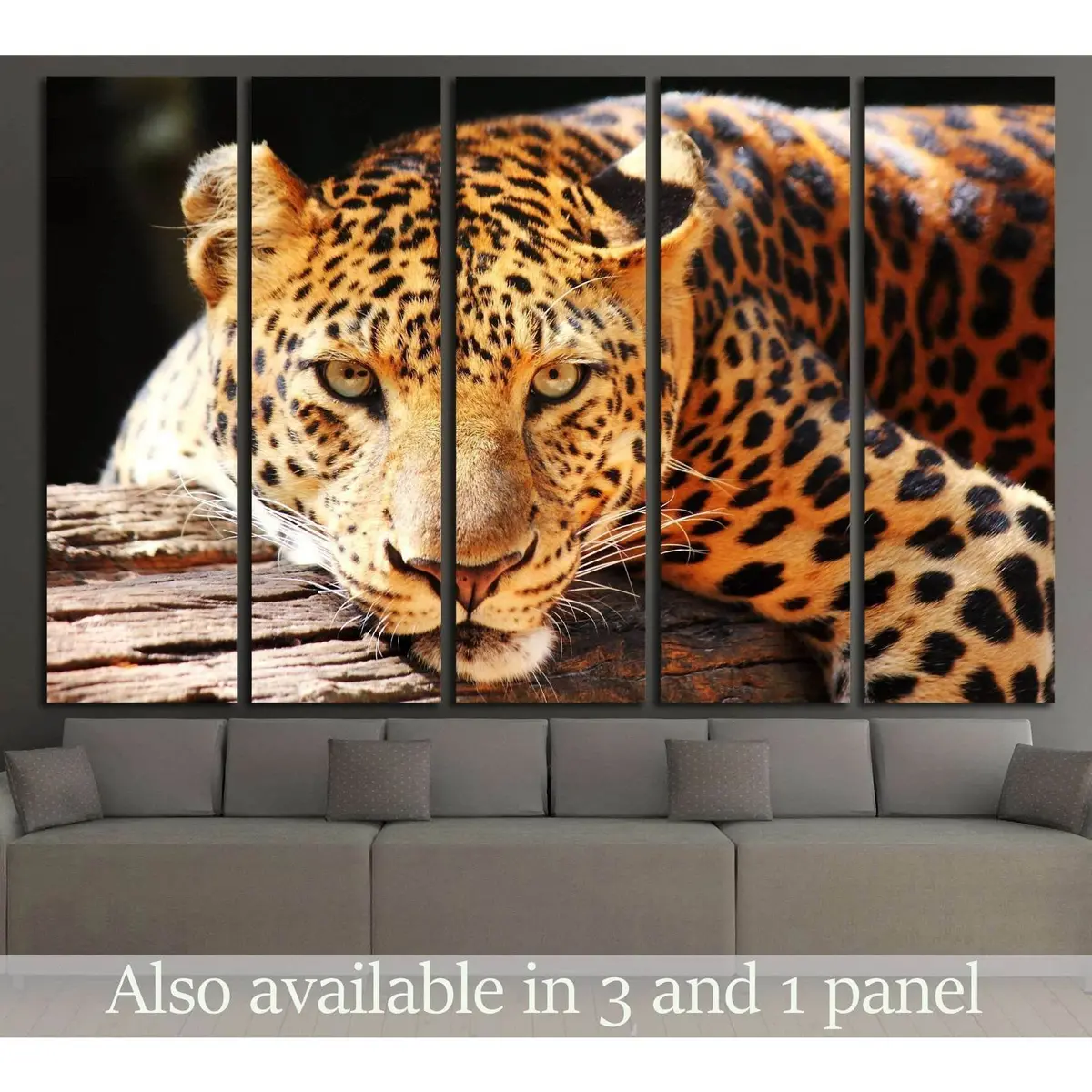 Leopard Panther Resting on Tree Canvas Wall Art №2349