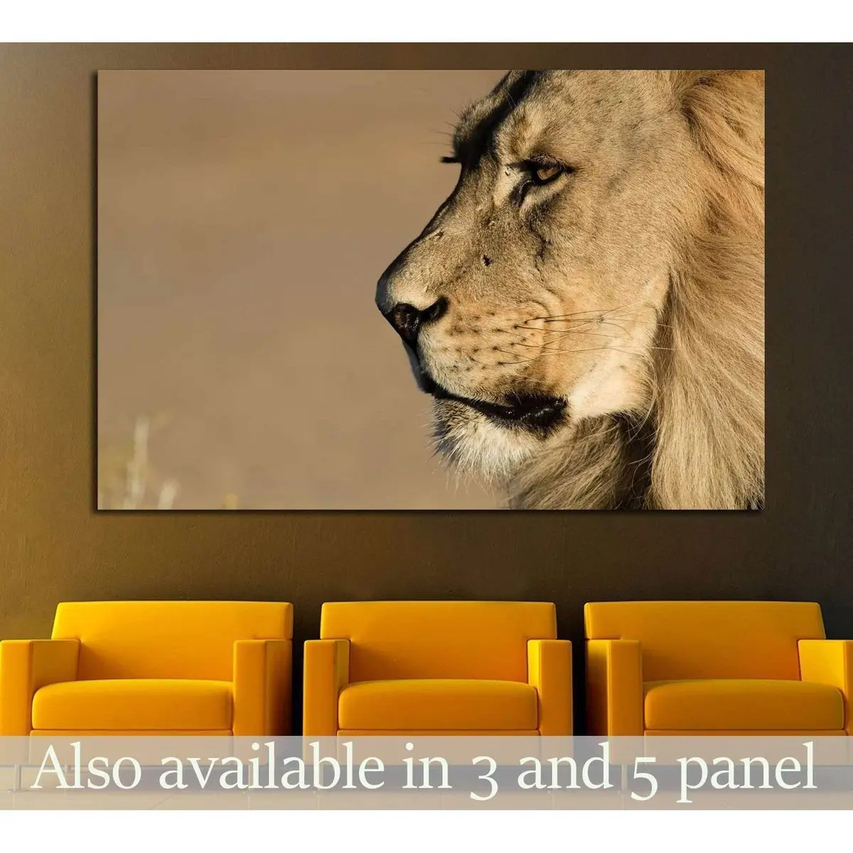 Lion Stare Head Shot №1851 Ready To Hang Canvas Print 1