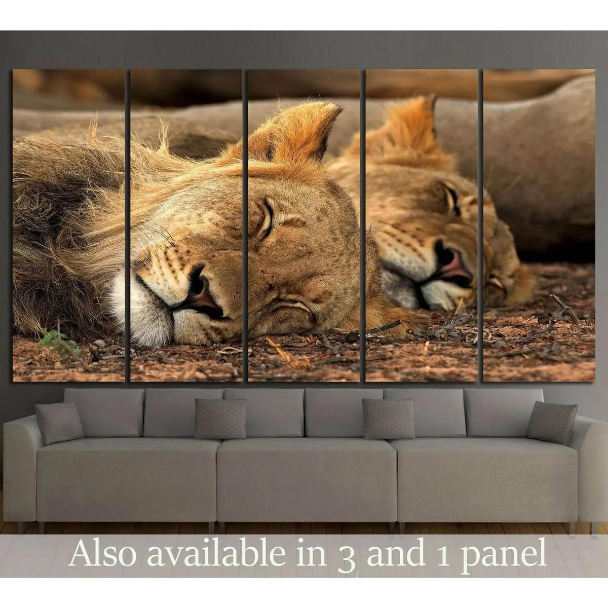 Lion Tandem #1112 Canvas Wall Art – Ready to Hang