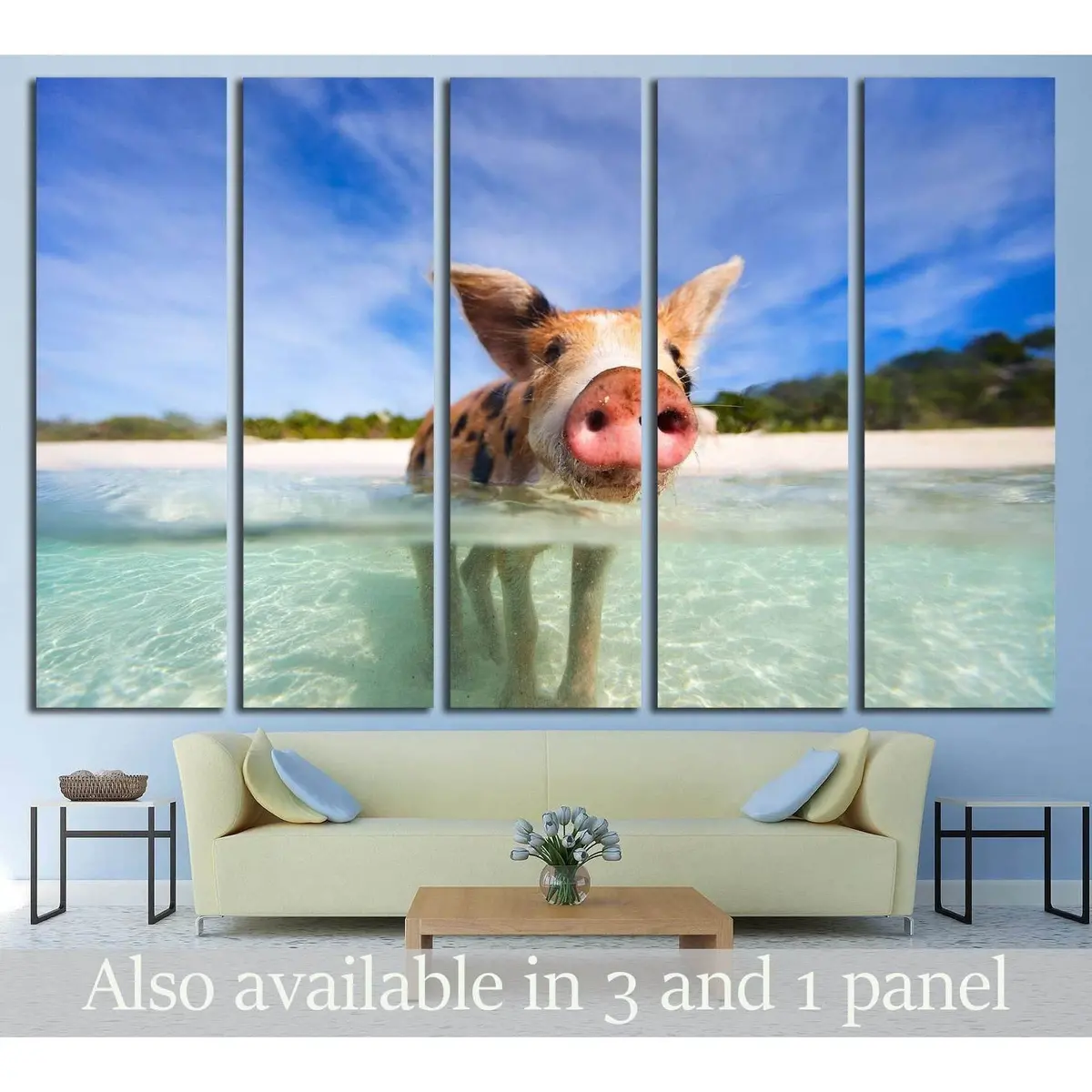 Adorable Piglet Swimming at Exuma Bahamas Beach – Ready-to-Hang Canvas Wall Art #2350