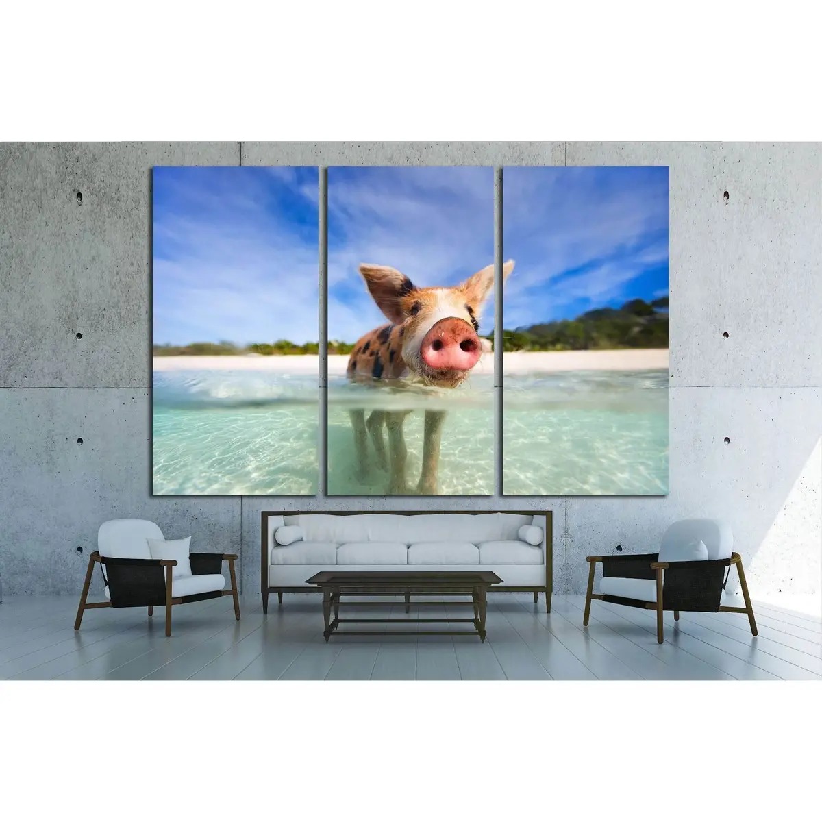 Little Piglet In A Water At Beach On Exuma Bahamas №2350 Ready To Hang Canvas Print 5