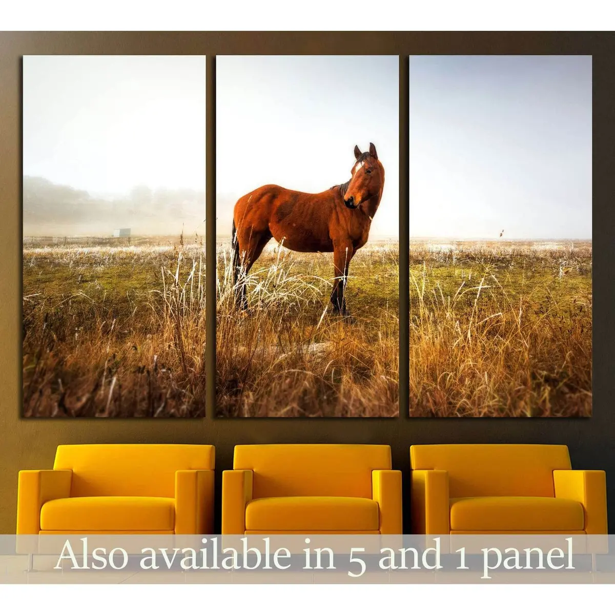 Lonely Horse Wall Art №5003 5