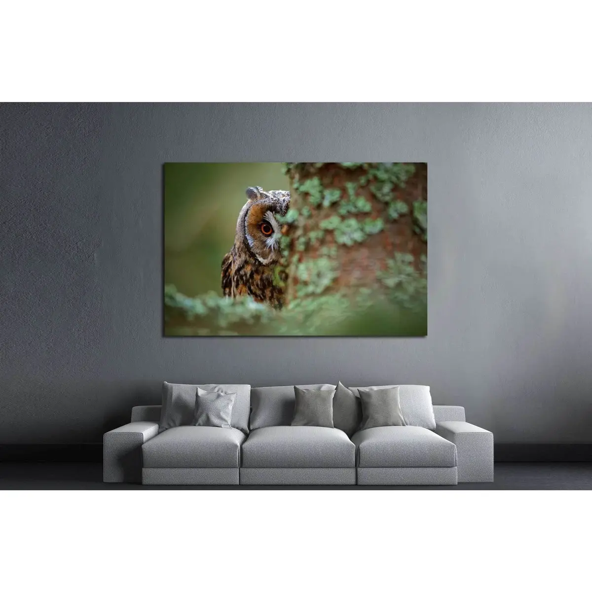 Long-Eared Owl With Big Orange Eyes Behind Larch Tree Trunk, Sweden №1861 Ready To Hang Canvas Print 3