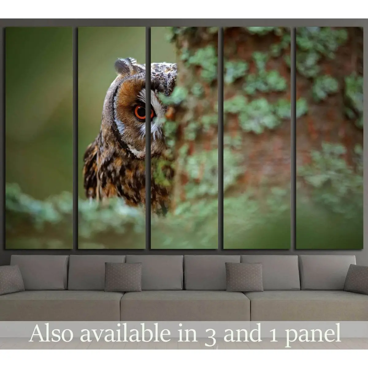 Long-Eared Owl with Vibrant Orange Eyes Among Larch Trees in Sweden — Ready-to-Hang Canvas Art