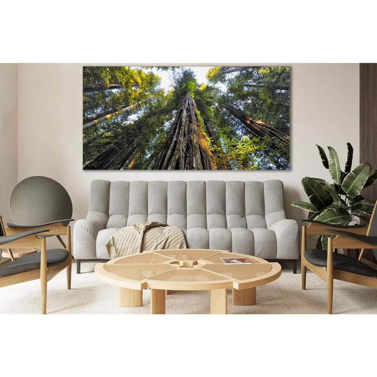 Looking Up At Trees №Sl817 Ready To Hang Canvas Print 1