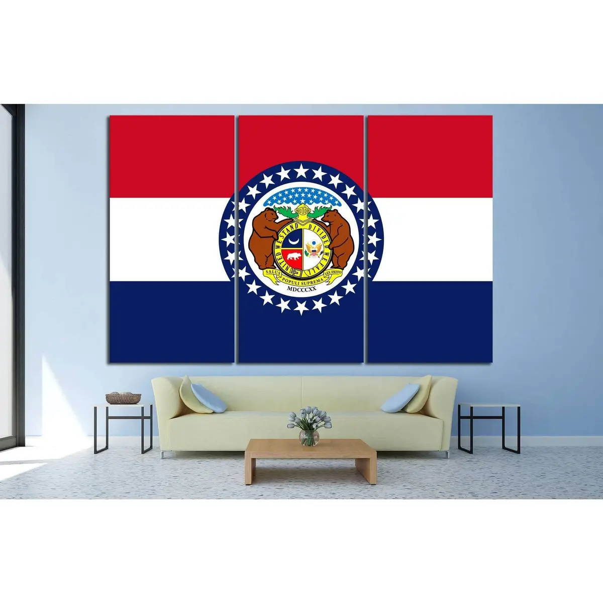 Missouri Flag №689 Ready To Hang Canvas Print 5