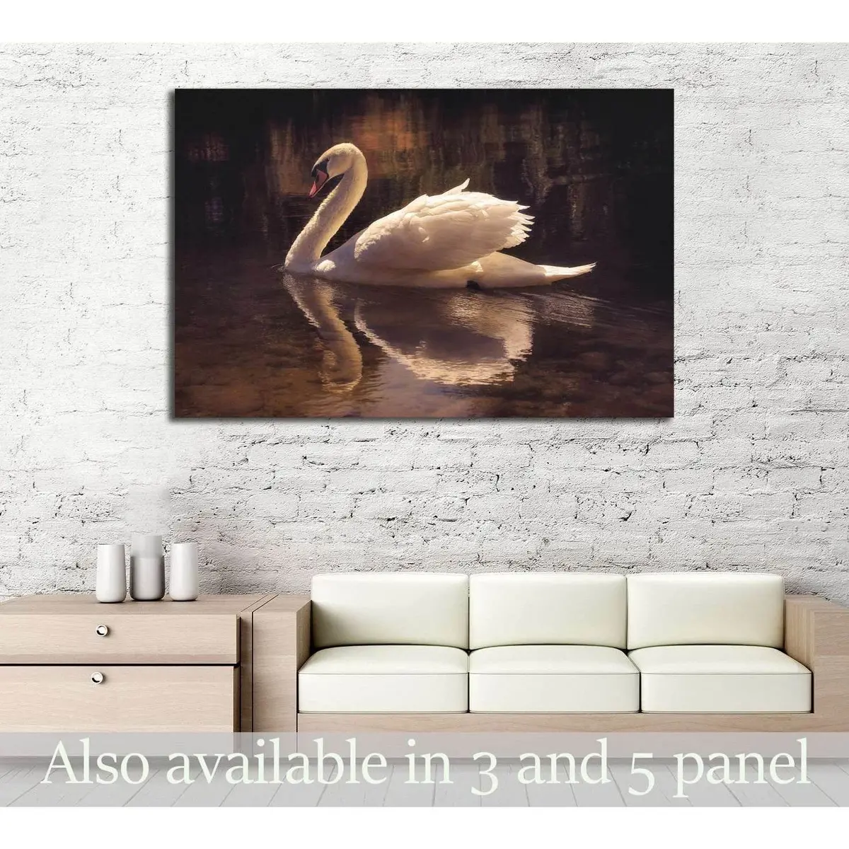 Moody Image Of A Beautiful Swan Swimming №3263 Ready To Hang Canvas Print 1