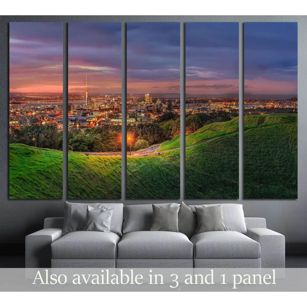 Mount Eden Volcano & Auckland City Skyline Canvas Wall Art