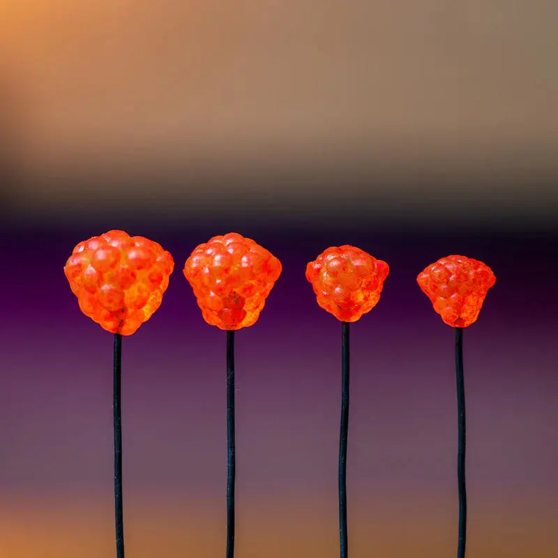 Premium Elevated Tackle Egg Clusters - Image 9