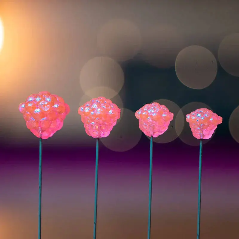 Premium Elevated Tackle Egg Clusters - Image 4