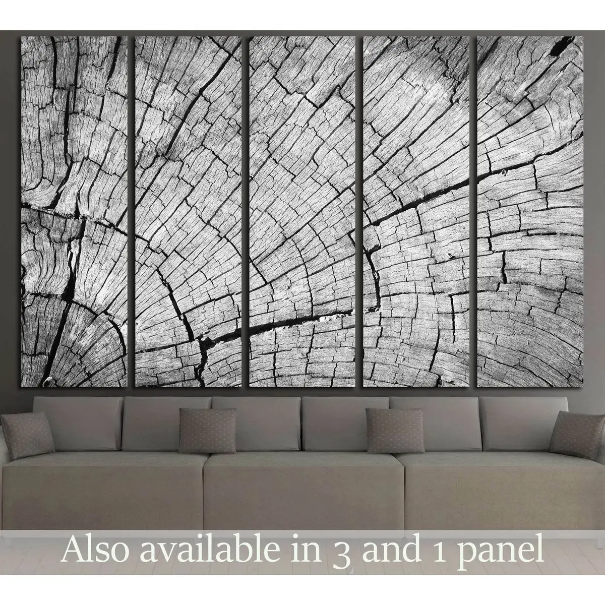 Vintage Gray Weathered Wood Texture Background #2836 — Ready-to-Hang Canvas Wall Art