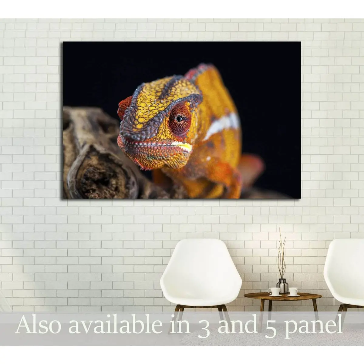 Orange Chameleon Isolated On Black Background №3261 Ready To Hang Canvas Print 1