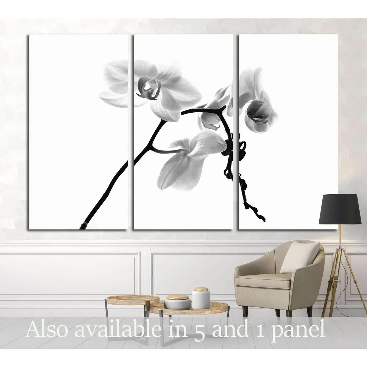 Orchid On A White Background Orchid On A White Background №2835 Ready To Hang Canvas Print 5