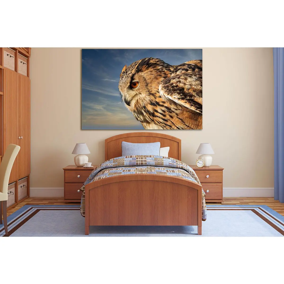 Owl Close Up №Sl1027 Ready To Hang Canvas Print 1