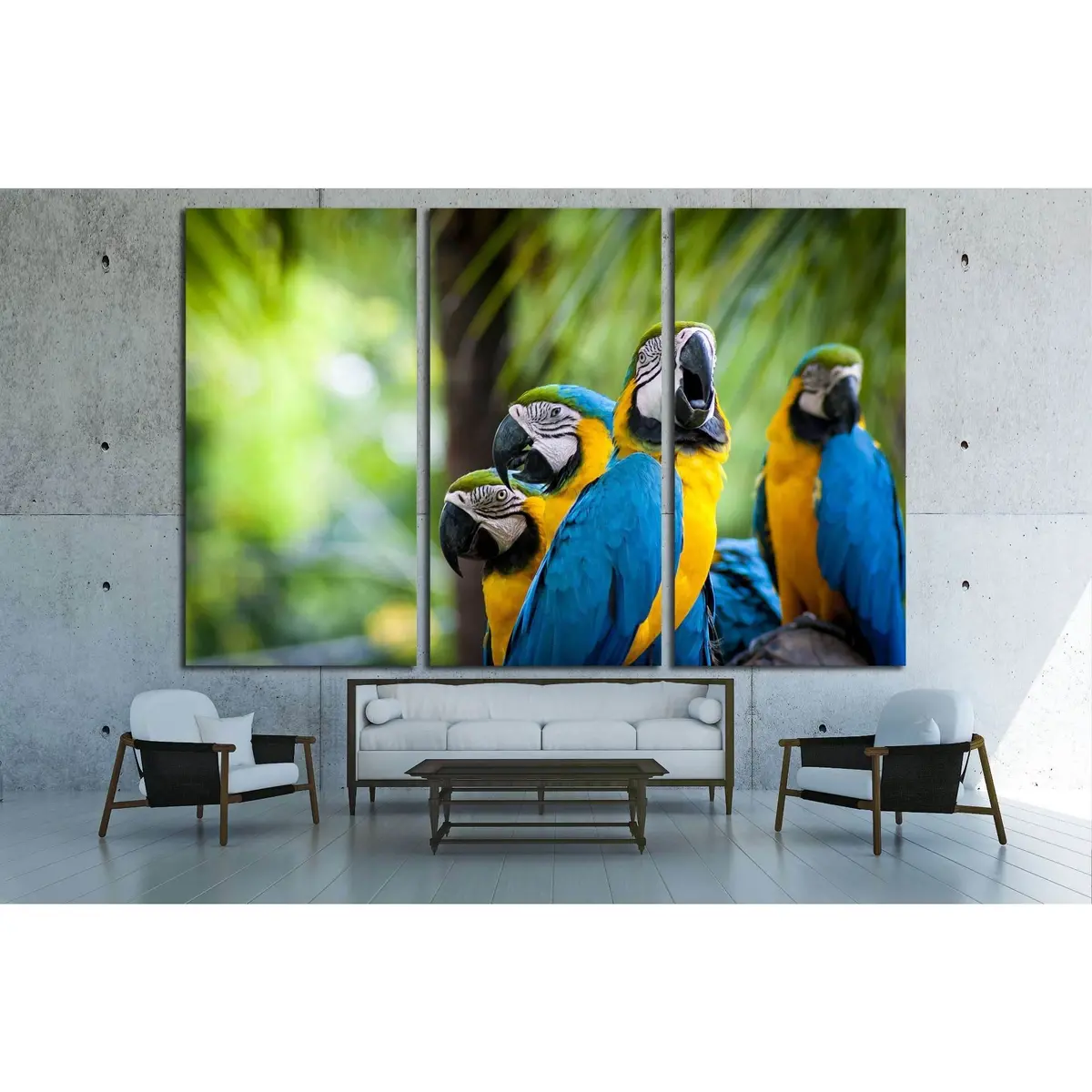Parrot Bird Sitting On The Perch №2790 Ready To Hang Canvas Print 5