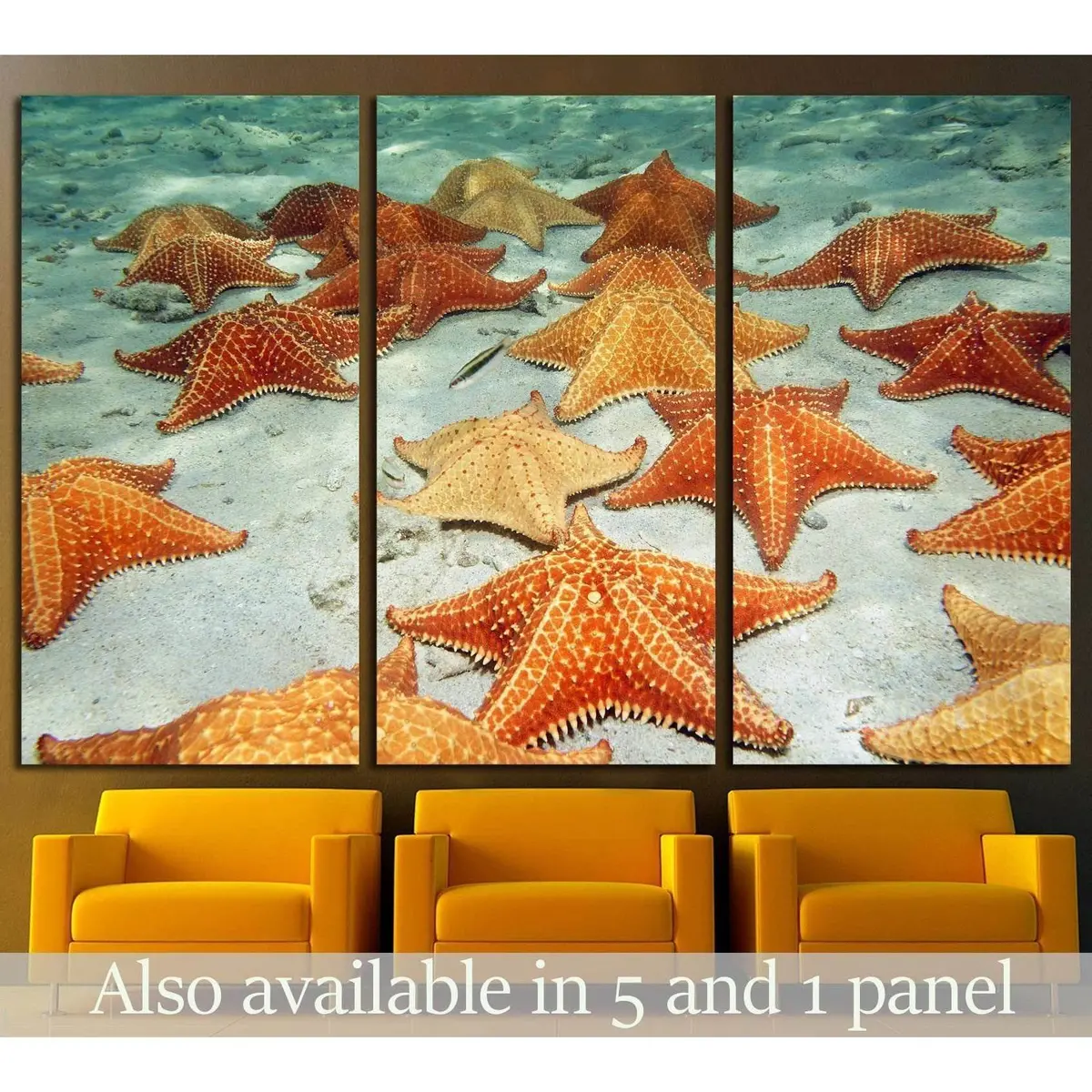 Plenty Of Cushion Starfish On A Sandy Ocean Floor №1395 Ready To Hang Canvas Print 5