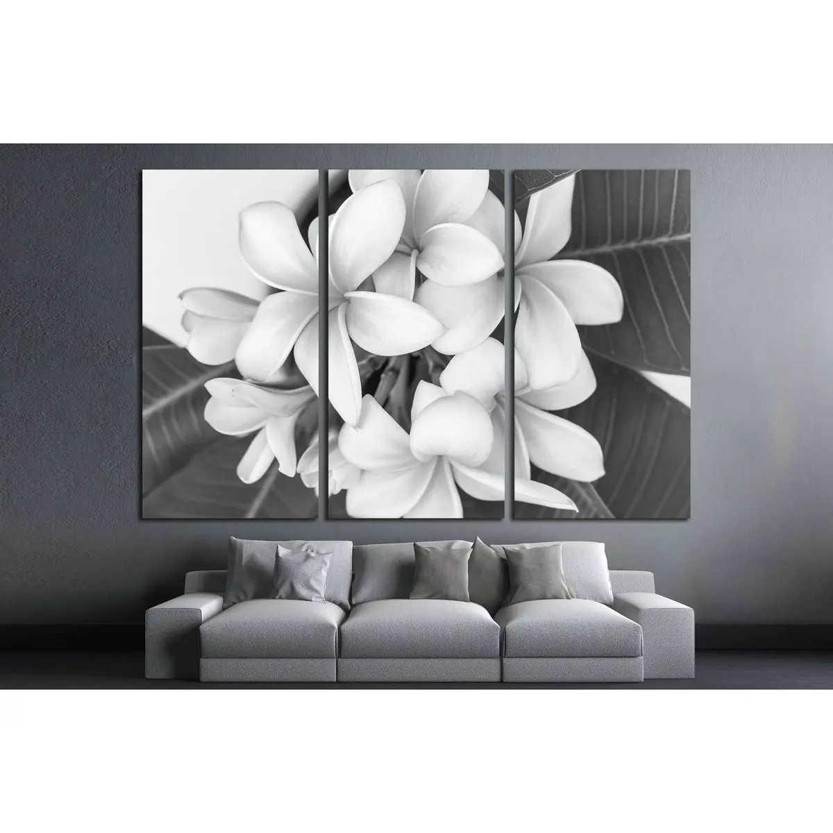 Plumeria Or Frangipani Flower, Tropical Flower . Black And White Photography. №2839 Ready To Hang Canvas Print 5
