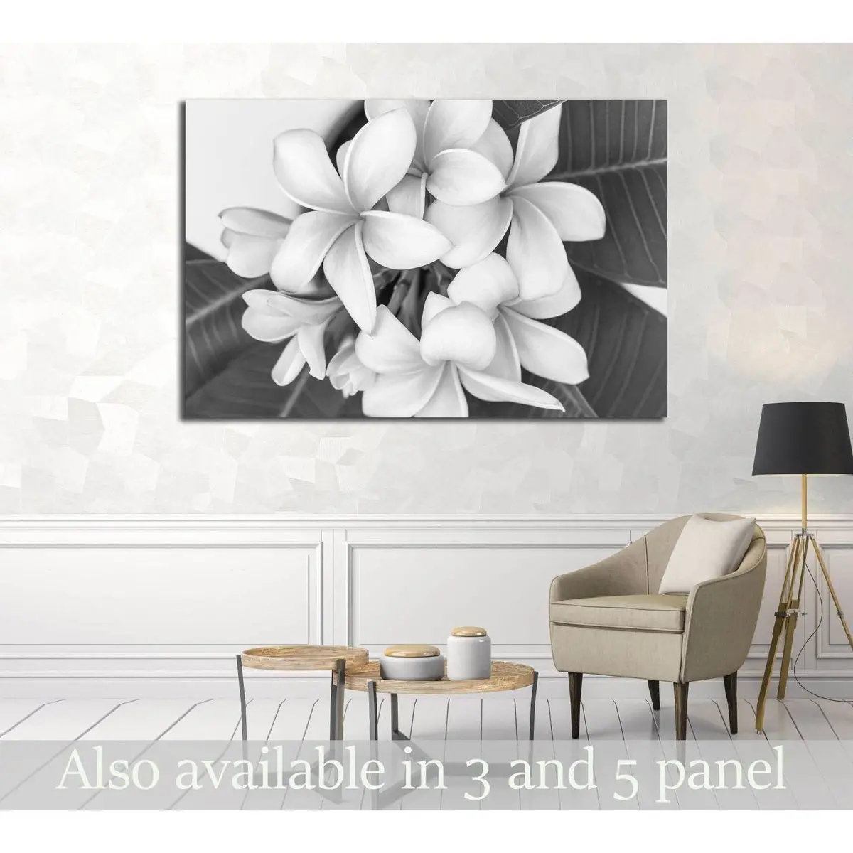 Plumeria Or Frangipani Flower, Tropical Flower . Black And White Photography. №2839 Ready To Hang Canvas Print 1