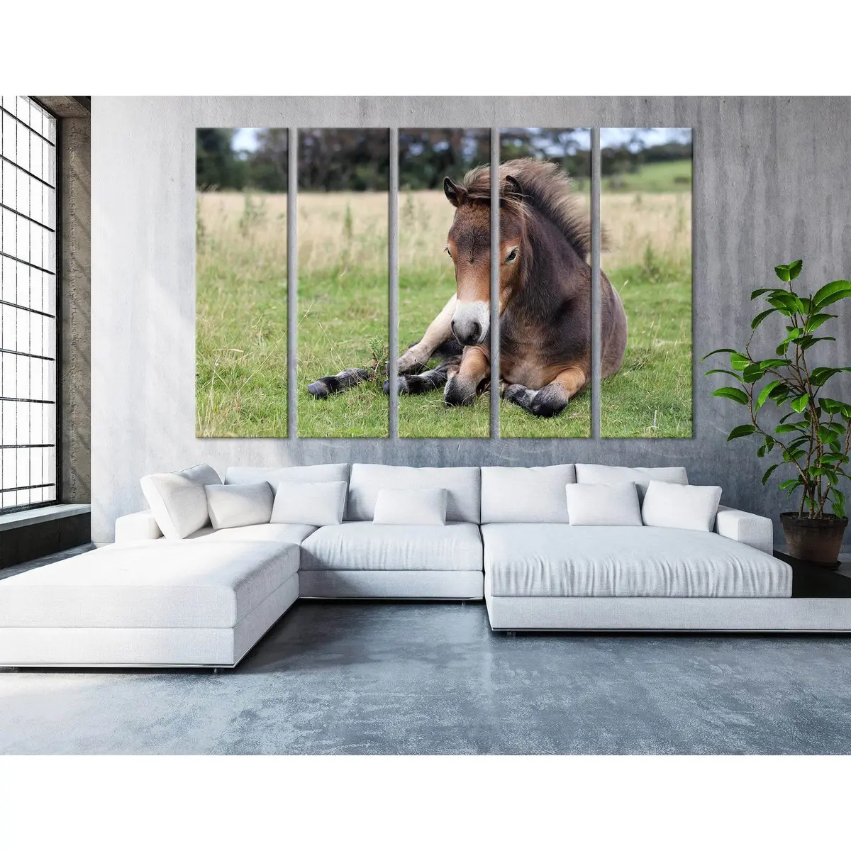 Exmoor Pony Resting on Lush Green Pasture – Ready-to-Hang Canvas Wall Art