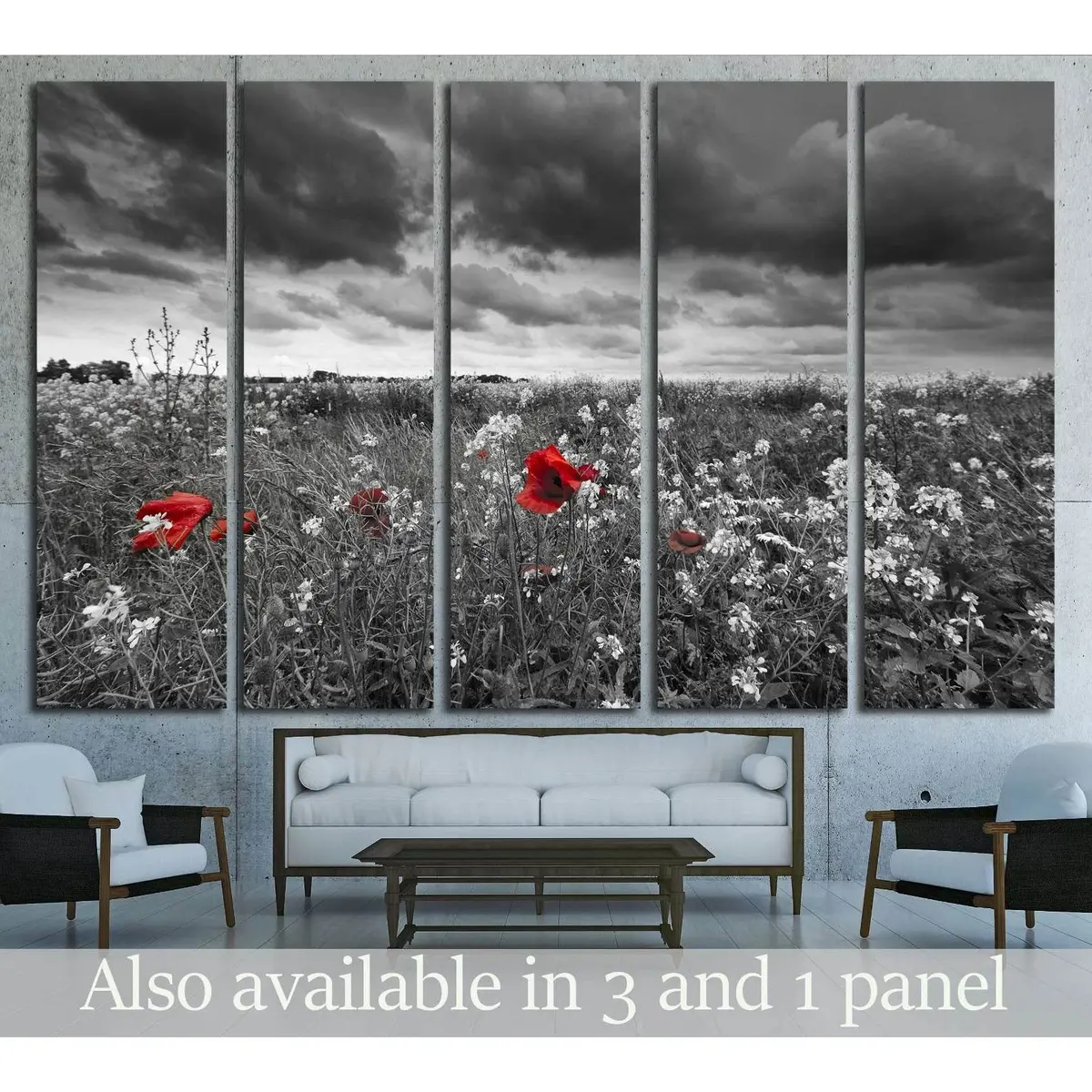 Black & White Poppies Field Canvas Wall Art №2670