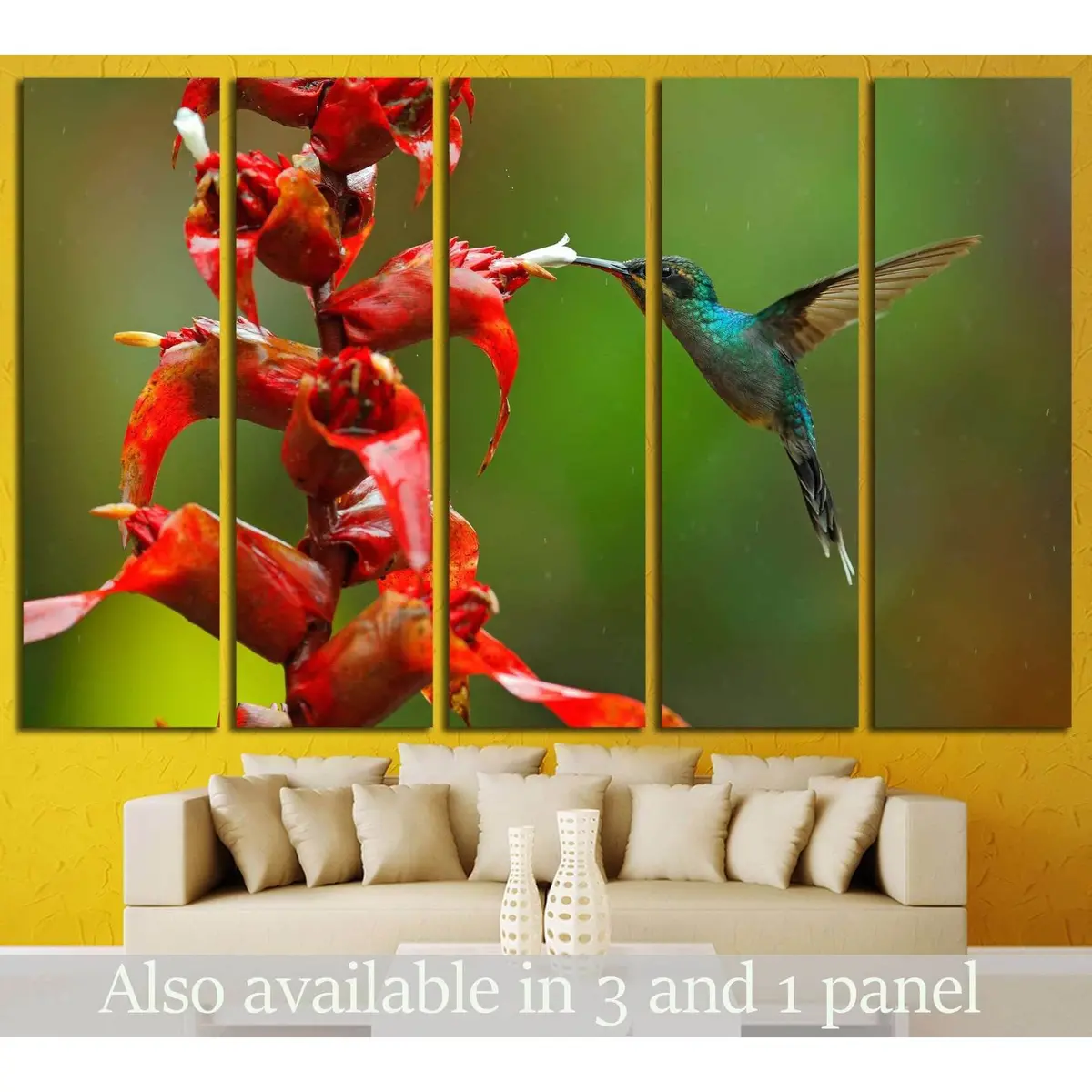 Costa Rica Rare Hummingbird Canvas Wall Art – Ready-to-Hang Print #1445
