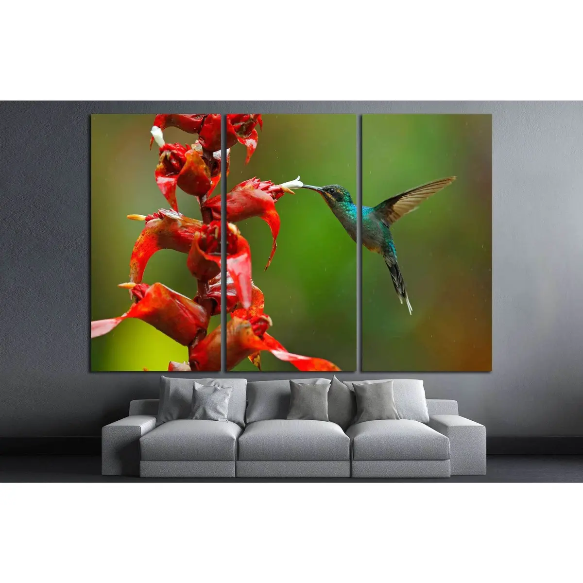 Rare Hummingbird From Costa Rica №1445 Ready To Hang Canvas Print 5