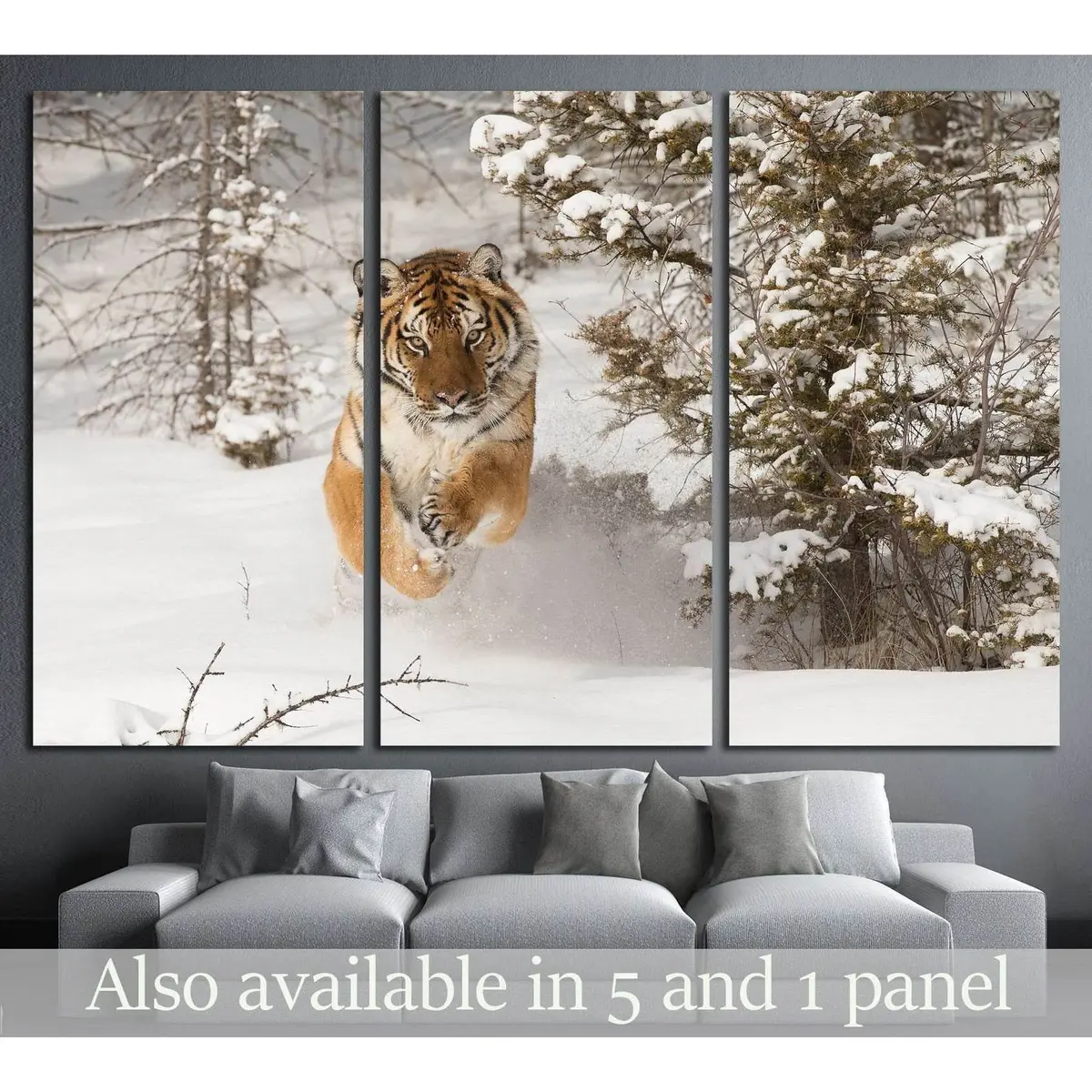 Rare Siberian Tiger Running In Snow Between Trees №2344 Ready To Hang Canvas Print 5