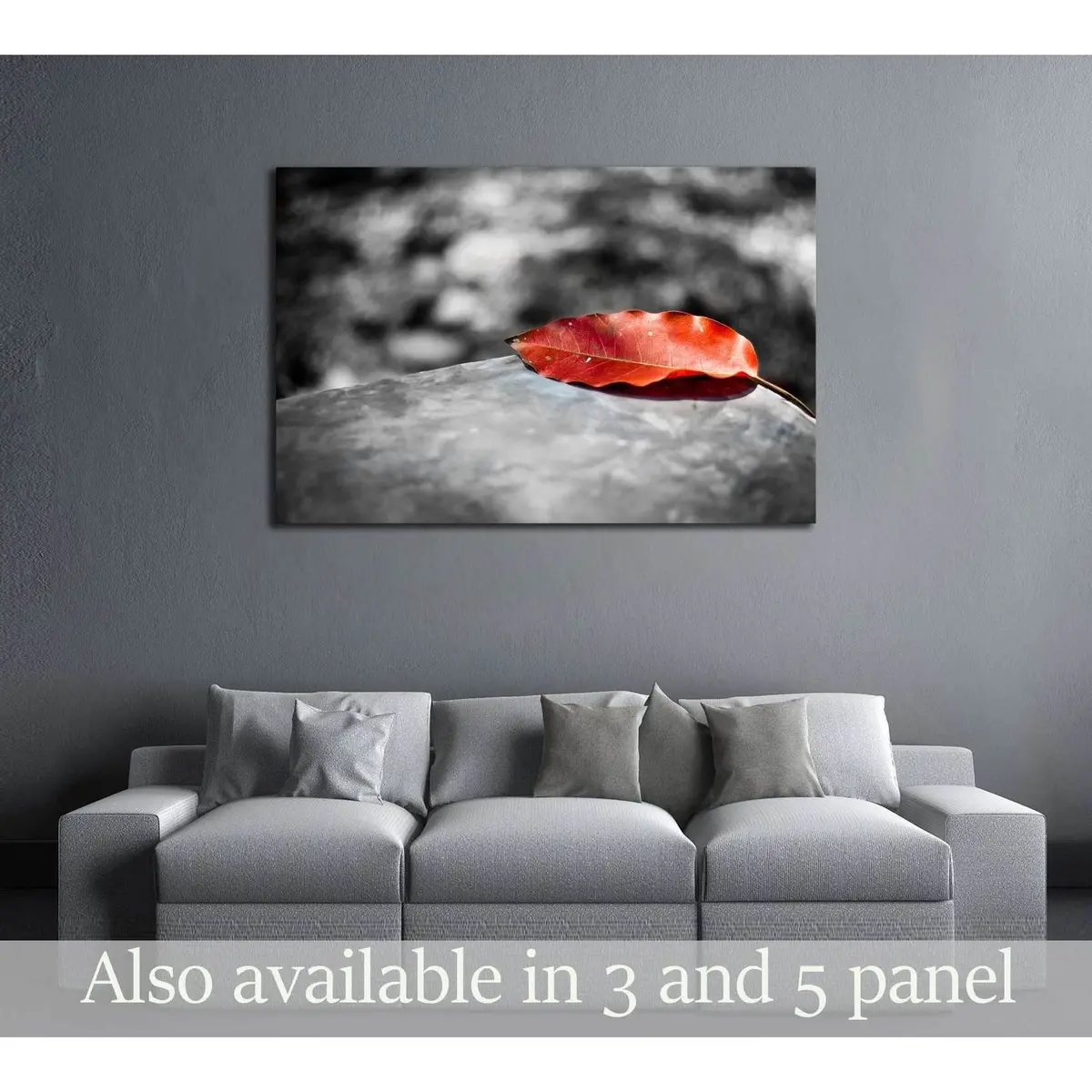 Red Leaf On Black And White Background №3025 Ready To Hang Canvas Print 1