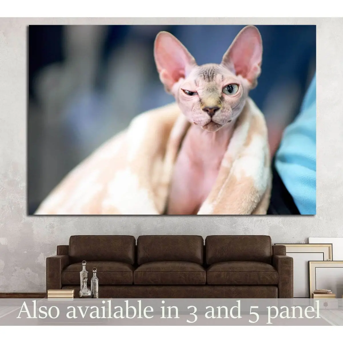 Serious Cat №13 Ready To Hang Canvas Print 1