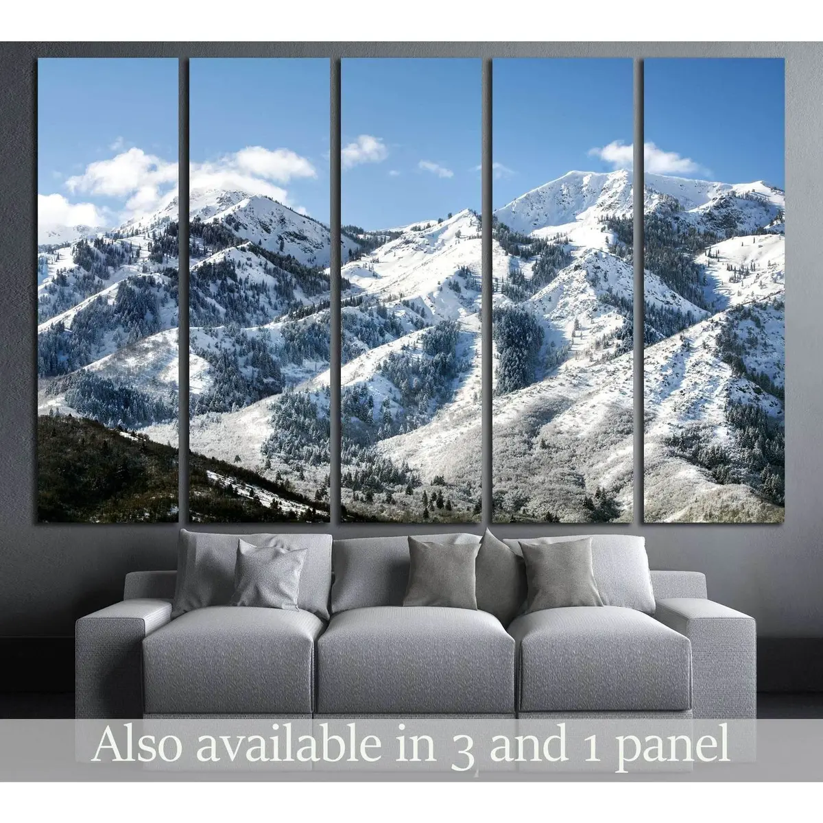 Scenic Snowy Mountains and Forest Canvas Wall Art Print #3204