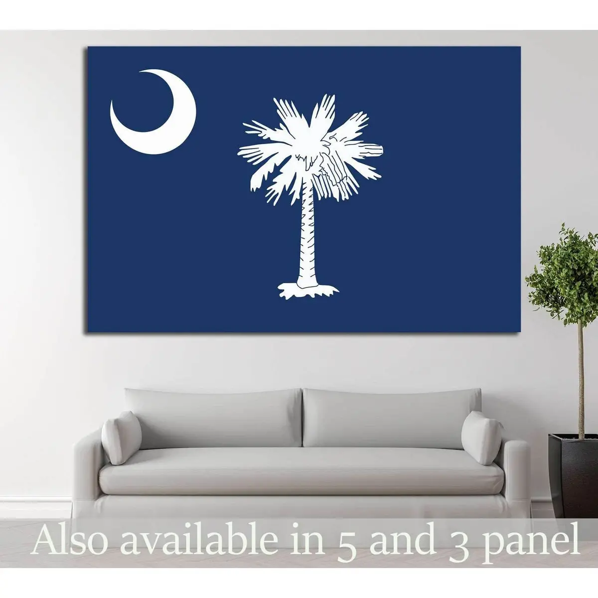 South Carolina №667 Ready To Hang Canvas Print 1