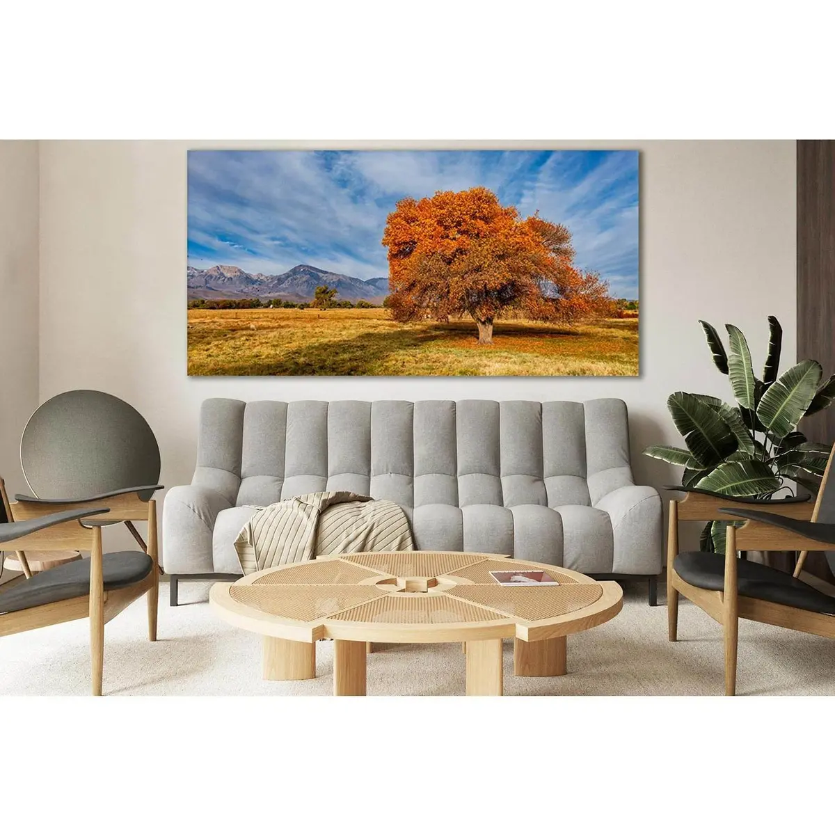 Tree In Sierra Trailer Park №Sl813 Ready To Hang Canvas Print 2