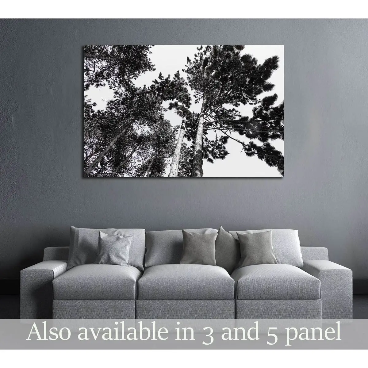 Treetop Covered With Snow №2837 Ready To Hang Canvas Print 1