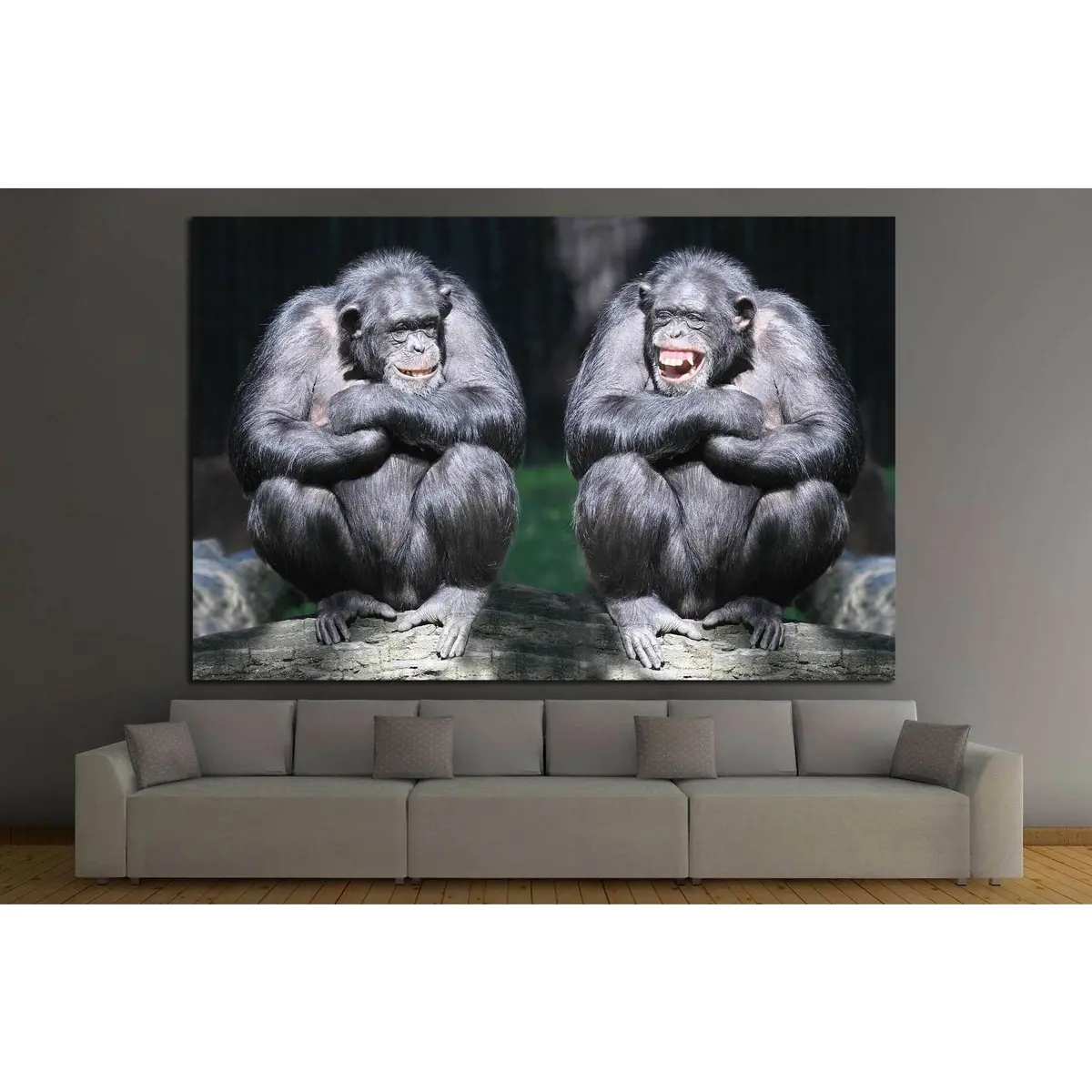 Two Chimpanzees Have A Fun №1114 Ready To Hang Canvas Print 3