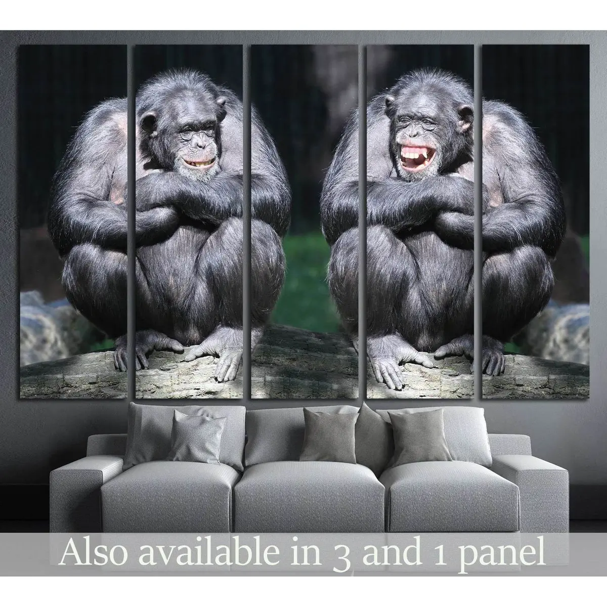 Playful Chimpanzee Duo Canvas Wall Art – Ready to Hang