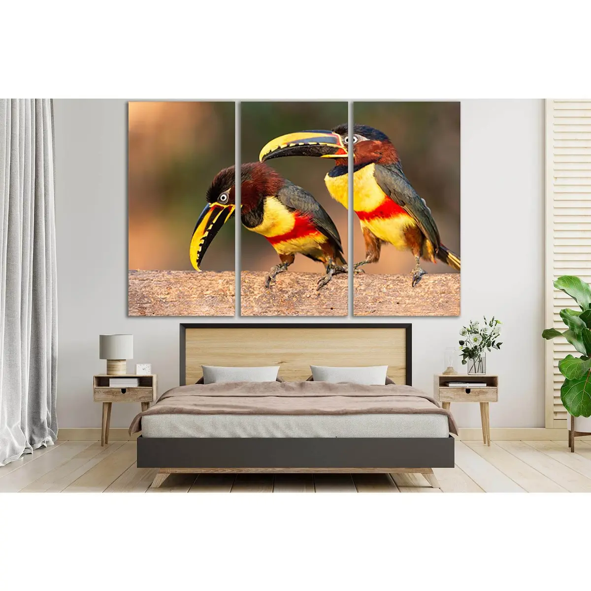 Two Pretty Toucans №Sl1044 Ready To Hang Canvas Print 5
