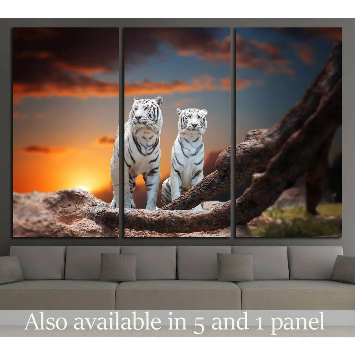 Two White Tiger Sitting On A Rock And Watching The Sunset №2362 Ready To Hang Canvas Print 5