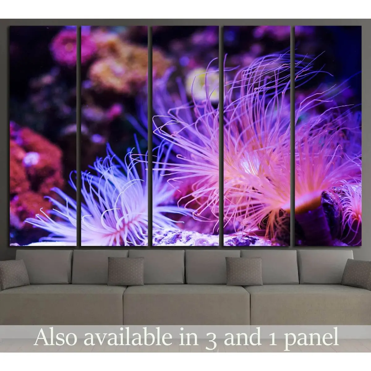 Ocean Coral Reef Wall Art №1421 – Premium Ready-to-Hang Canvas Print
