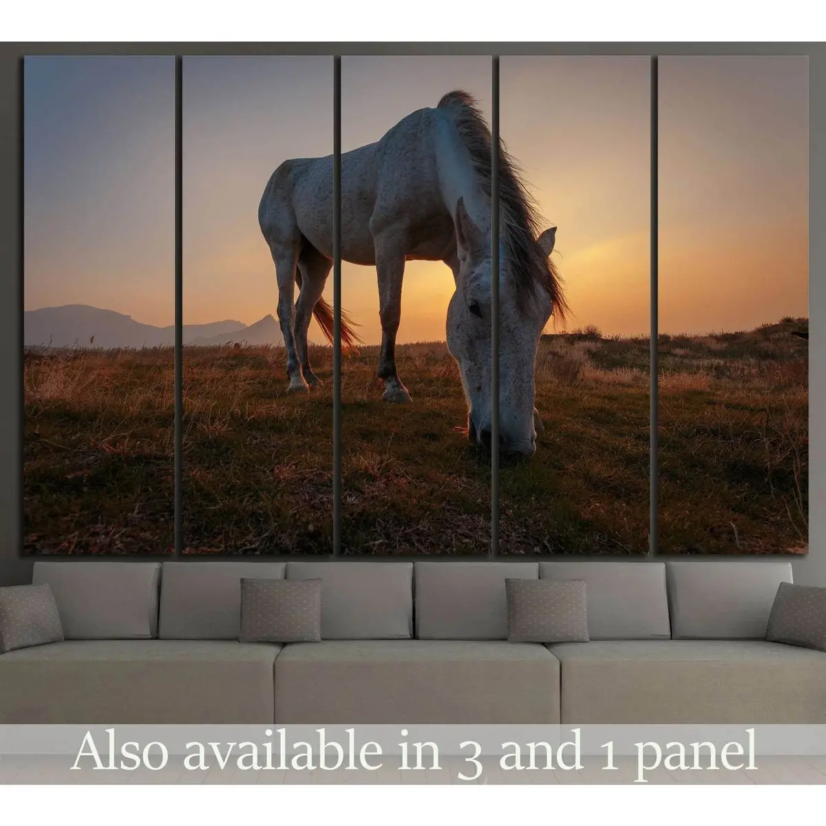 Elegant White Horse in Meadow Canvas Wall Art Print – Ready to Hang