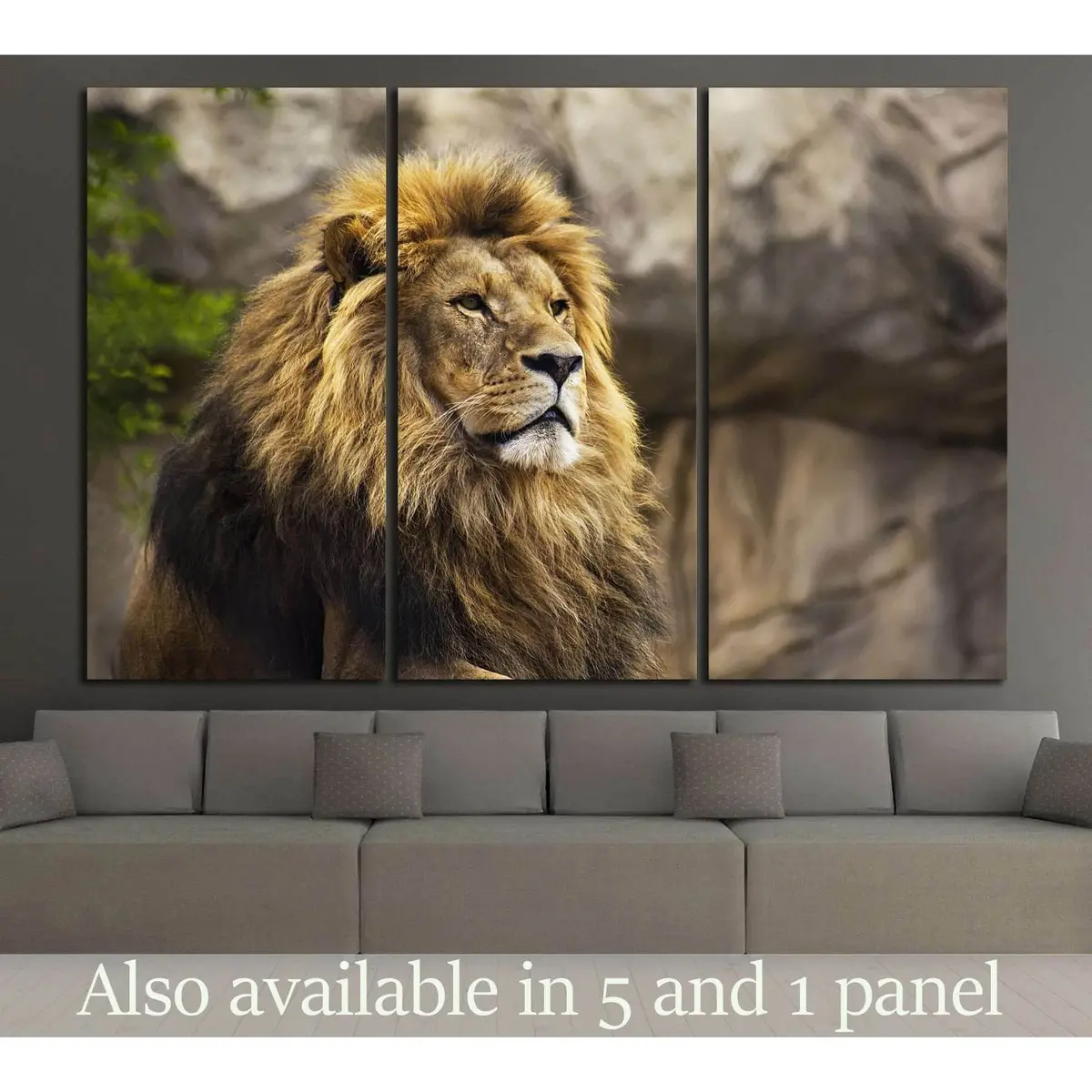 Wild Lion №186 Ready To Hang Canvas Print 5